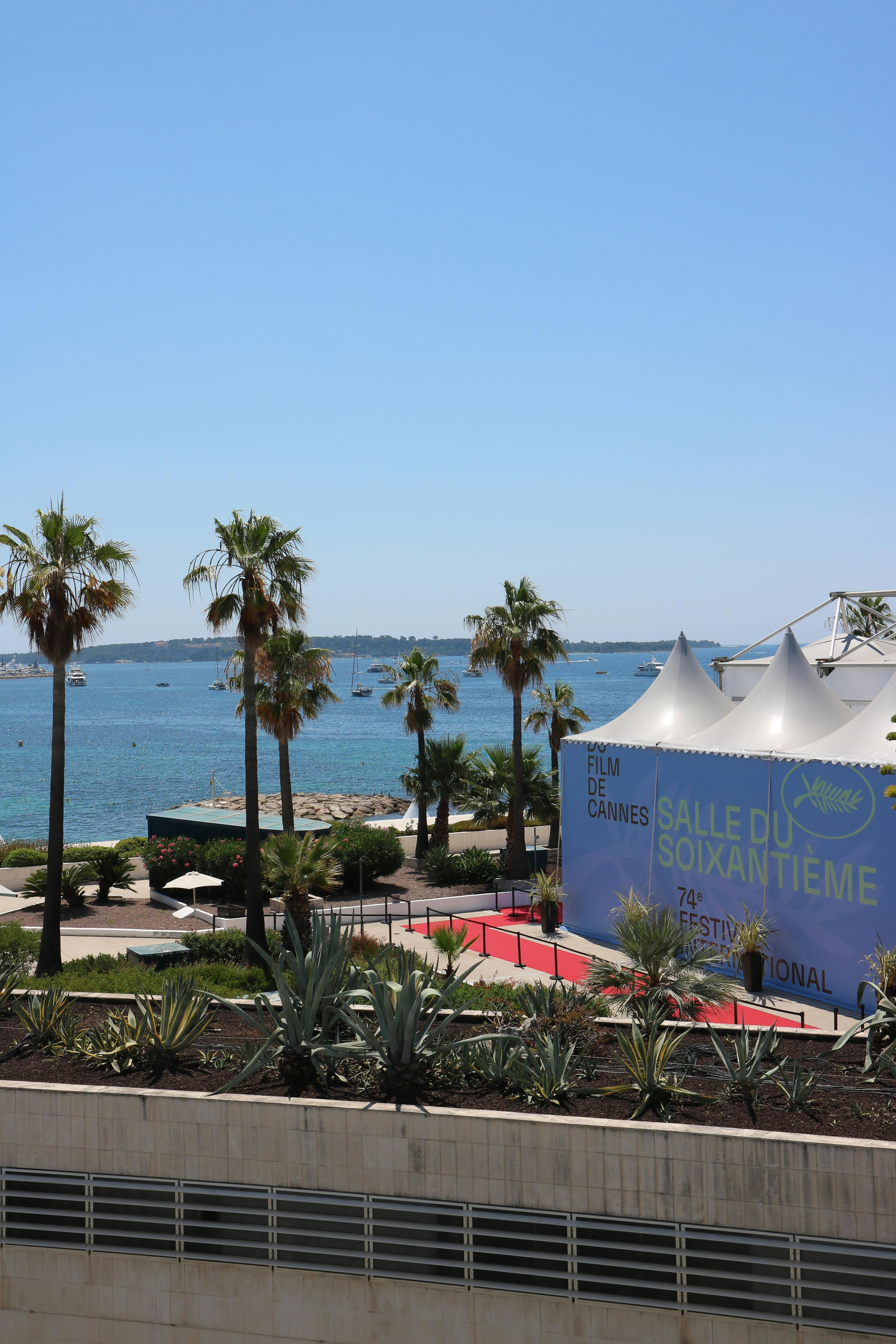 Cannes Film Festival 2025